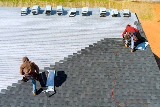 Best Roof Leak Repair  in Ripley, OH